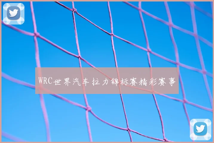 WRC世界汽车拉力锦标赛精彩赛事