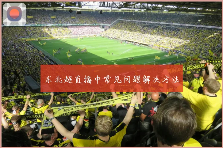 东北超直播中常见问题解决方法