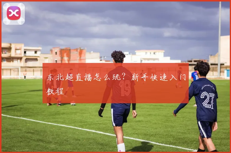 东北超直播怎么玩？新手快速入门教程