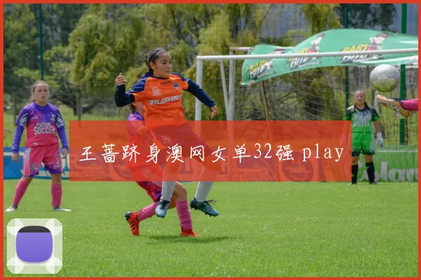 王蔷跻身澳网女单32强 play
