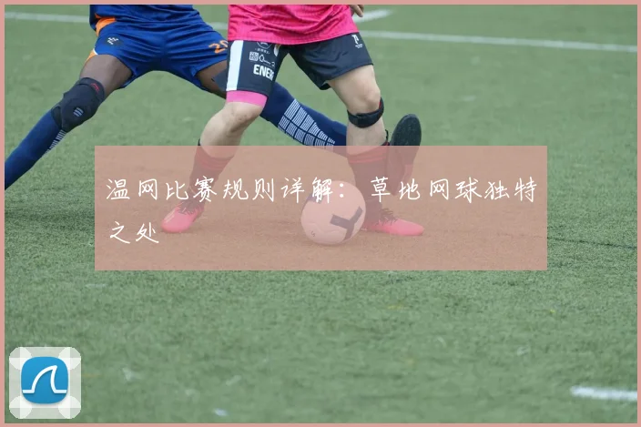 温网比赛规则详解：草地网球独特之处