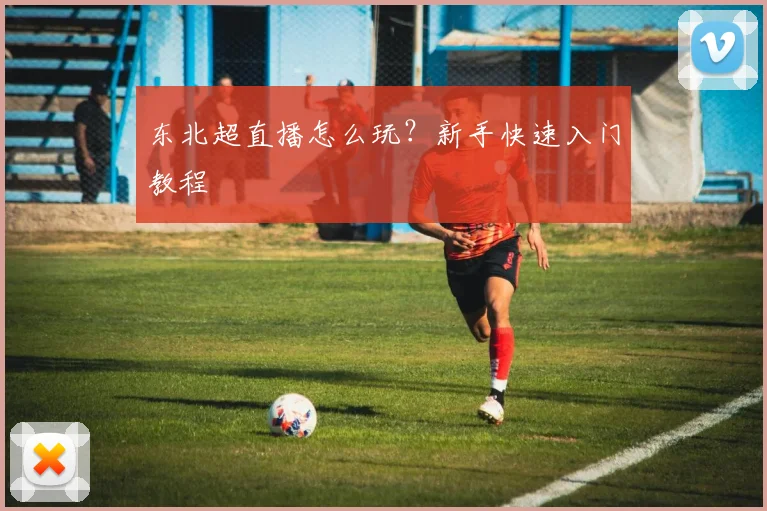 东北超直播怎么玩？新手快速入门教程