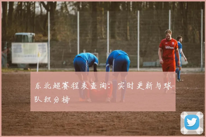 东北超赛程表查询：实时更新与球队积分榜